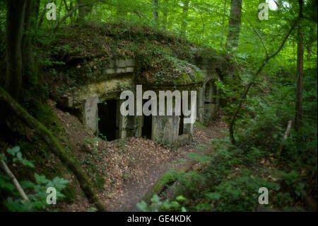 WWI, Battle of the Argonne Forest, 1918 Stock Photo - Alamy