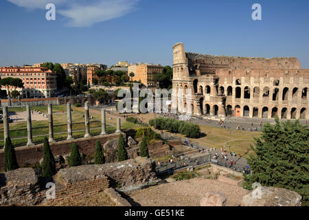 Italy, Rome, Roman Forum, temple of Venus and Colosseum Stock Photo