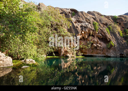 Oasis in Dhofar mountains Stock Photo