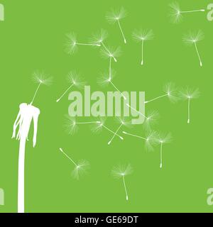 Dandelion seeds blowing away green ecology and time passing concept background vector Stock Vector
