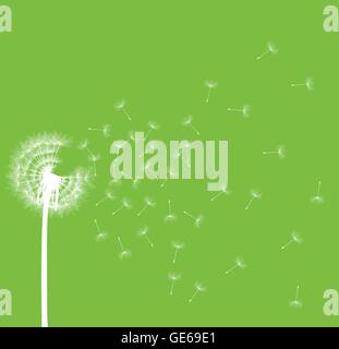 Dandelion seeds blowing away green ecology and time passing concept background vector Stock Vector