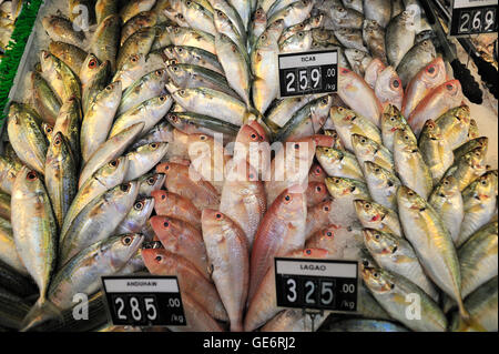 Fresh fish for sale at Rustan's Supermarket Ayala Center Cebu City Philippines Stock Photo