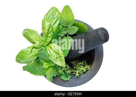 Gray granite mortar and pestle with herbs isolated on white Stock Photo