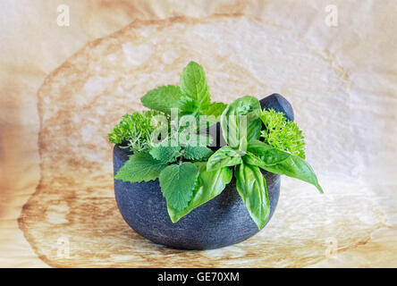 Gray granite mortar and pestle with herbs inside on a used parchment paper. Stock Photo