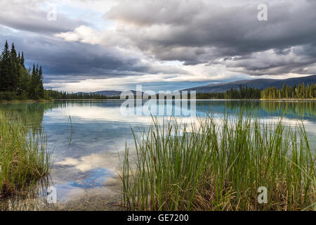 Forest, mountains and partly cloudy, evening skies reflected in  clear, calm waters of Boya Lake in this tranquil image taken in Stock Photo