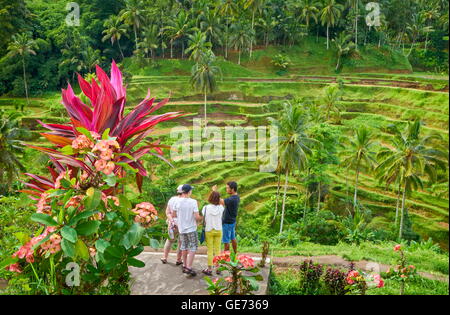 Bali, Indonesia - Tourists at the viewpoint of Rice Terrace Filed Stock Photo