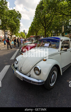 A row of classic VW / Volkswagen vintage vehicles (Beetles & Camper ...