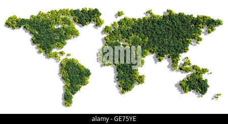 World map made up of various detailed trees on solid white background including the shadows Stock Photo