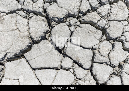 Crack soil on dry season, Global worming effect. Stock Photo