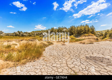 Cracked mud tiles in dry lake bed Stock Photo