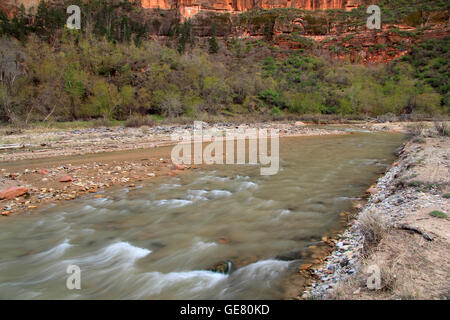 North Fork of the Virgin River in Zion National Park, Utah Stock Photo