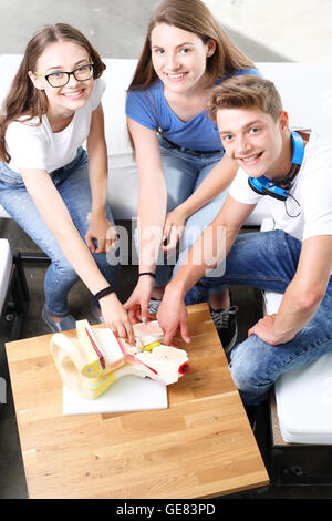 A group of school friends on anatomy lesson watching model ear Stock Photo