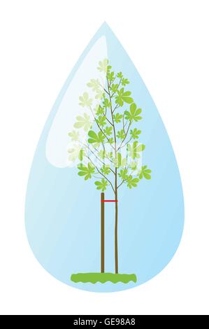 Young plant chestnut tree in water drop vector background ecology concept Stock Vector