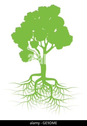 Green tree with roots background vector for poster Stock Vector