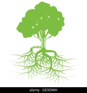 Green tree with roots background vector for poster Stock Vector
