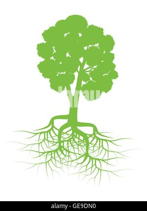 Green tree with roots background vector for poster Stock Vector