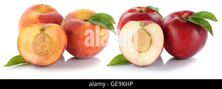 Peach nectarine peaches nectarines fruit fresh fruits isolated on a white background Stock Photo