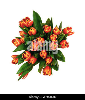 A lot og fresh tulips in a vase Stock Photo
