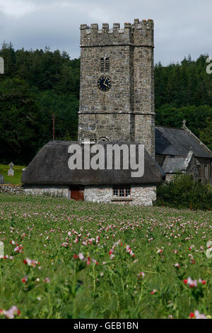 Saxon church at Buckland-in-the-moor with the famous clock face 'My Dear Mother' commissioned by the Whiteley family in memory Stock Photo