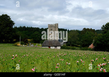 Saxon church at Buckland-in-the-moor with the famous clock face 'My Dear Mother' commissioned by the Whiteley family in memory Stock Photo