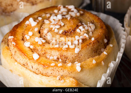 Cinnamon Roll Close Up macro image. Stock Photo