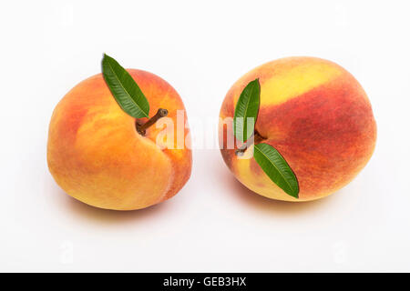 Two peach fruits with leaf isolated on white background. Stock Photo