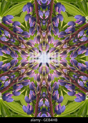 Abstract kaleidoscope background with color pattern Stock Photo