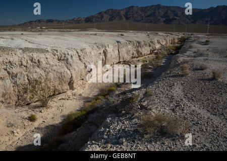 Las Vegas, Nevada - Tule Springs Fossil Beds National Monument, a rich paleontological area established in December 2014. Stock Photo