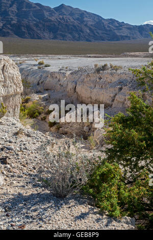 Las Vegas, Nevada - Tule Springs Fossil Beds National Monument, a rich paleontological area established in December 2014. Stock Photo