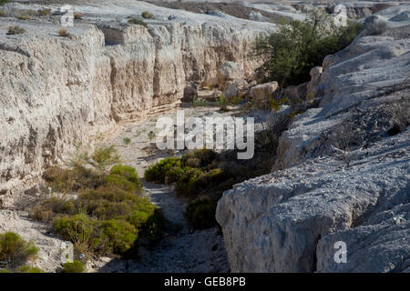 Las Vegas, Nevada - Tule Springs Fossil Beds National Monument, a rich paleontological area established in December 2014. Stock Photo