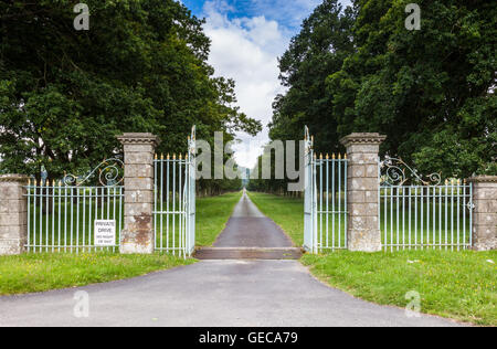 Oak Avenue, near Linley Hall, More, Lydham, Shropshire, UK Stock Photo