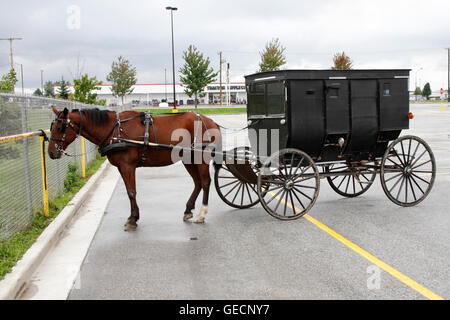 Amish buggy in Goshen, Indiana