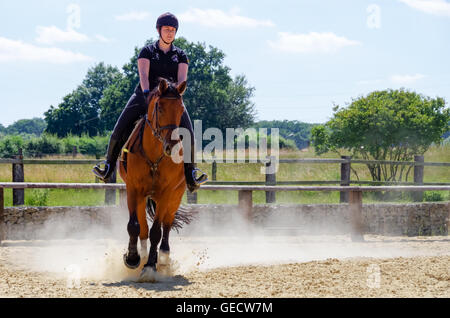 Rider approaching an obstacle during a horse jumping practice Stock Photo
