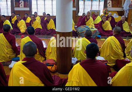 Puja,Monks praying, in Namgyal Monastery,in Tsuglagkhang complex. McLeod Ganj, Dharamsala, Himachal Pradesh state, India, Asia Stock Photo