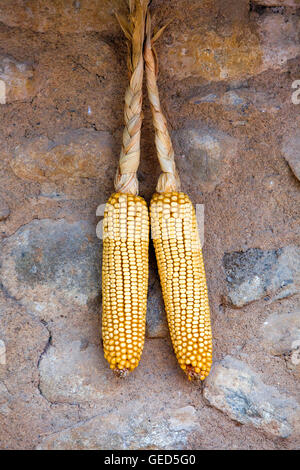 Corn cobs hanging on the facade of a house, Els Hostalets d'en Bas, Garrotxa,Girona province. Catalonia. Spain Stock Photo