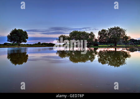 New Forest, Janesmoor Pond, Lyndhurst, Hampshire, England, United Kingdom Stock Photo