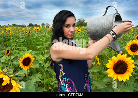 Pretty, young, brunette woman watering sunflowers in a sunflower field Stock Photo