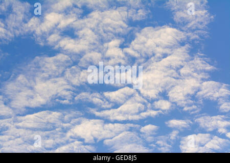 Altocumulus clouds against blue sky. Stock Photo