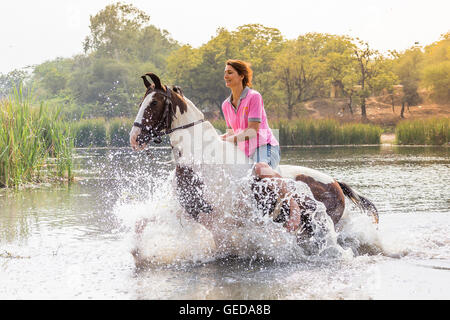 Marwari Horse. Rider on skewbald mare trotting in a lake. Rajasthan, India. Stock Photo