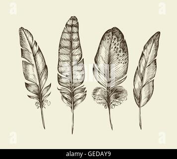 Hand drawn vintage bird feathers. Sketch writing feather. Vector illustration Stock Vector