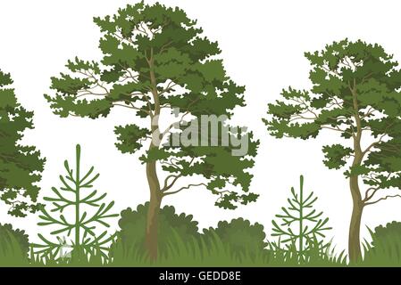 Seamless background, summer forest Stock Vector