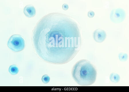 Blue cell human in centre, medicine scientific background. 3d illustration. Stock Photo