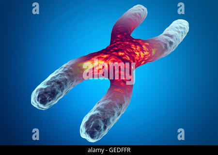 X chromosome, red in the center, the concept of infection, mutation  the disease. 3d illustration Stock Photo