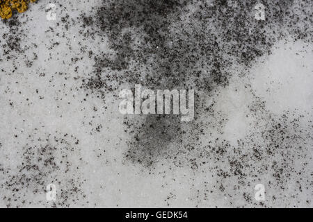 Marble background from gravestone Stock Photo