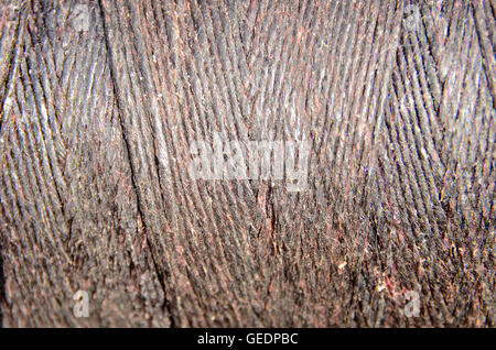 Closeup on different kinds of surfaces, meant to serve as background. Stock Photo