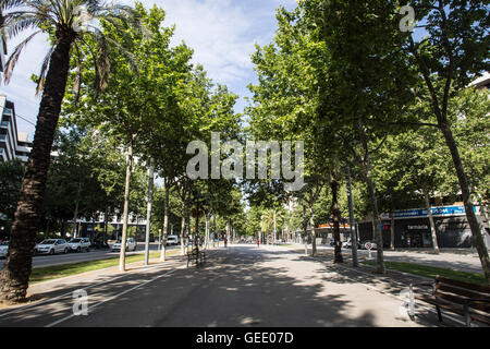 View north on pedestrian path up Avinguda Diagonal in Barcelona. Stock Photo