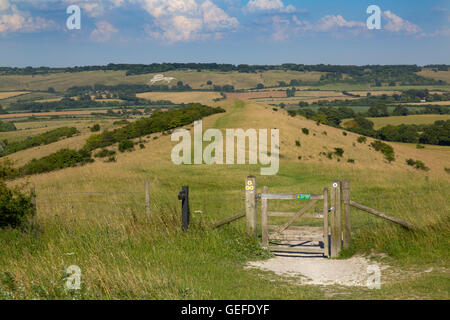 A view from Ivinghoe beacon towards the Whipsnade Lion Buckinghamshire Stock Photo