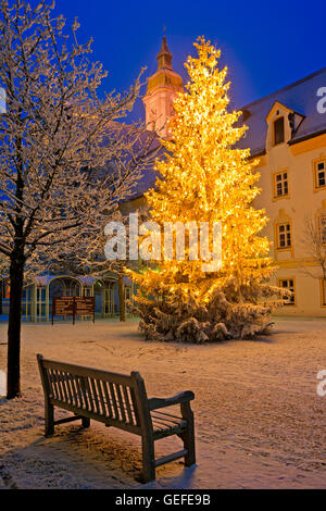 geography / travel, Germany, Bavaria, Freising, Christmas tree outside the Landratsamt in Neustift, No-Exclusive-Use Stock Photo