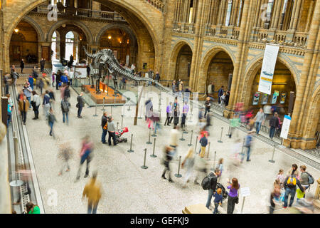 LONDON, UK - APRIL 28 2013: Visitors in the main entrance hall at London's  Natural History Museum. Stock Photo