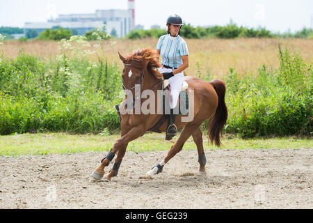 Equestrian Sports, Horse jumping, Show Jumping, Horse Riding Stock Photo